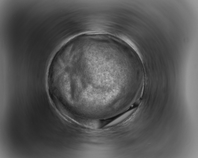 X0000089691485200707121327