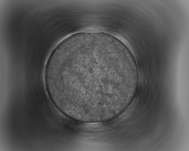 X0000089691486200707121327