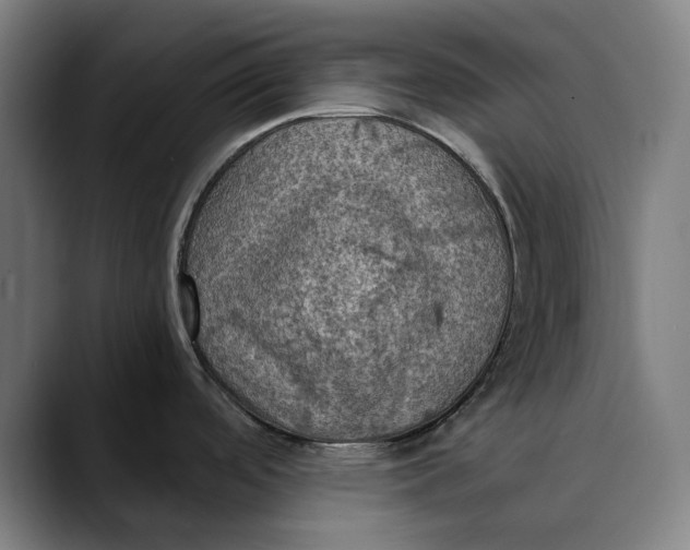 X0000089691488200707121327