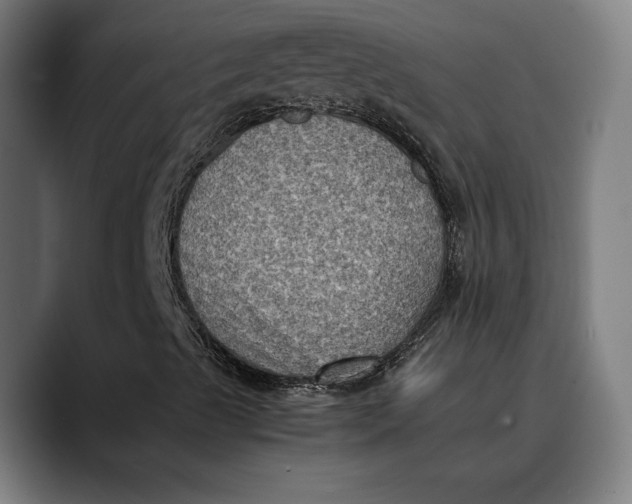 X0000089691489200707121326