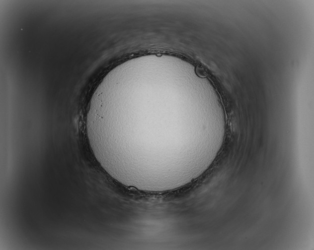 X0000089691495200707121326