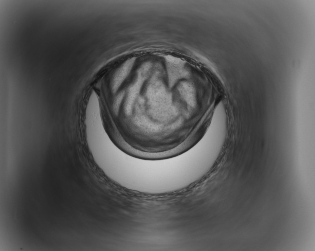 X0000089691496200707121326