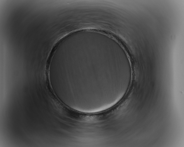 X0000089691497200707121327