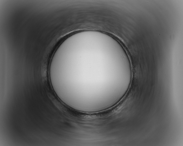 X0000089691499200707121327