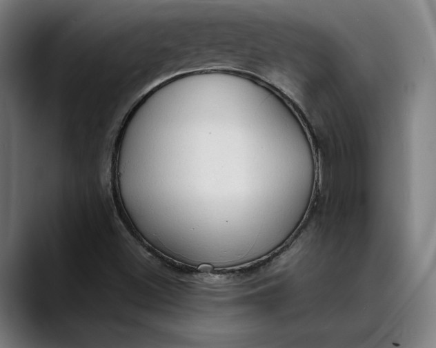 X0000089691500200707121327