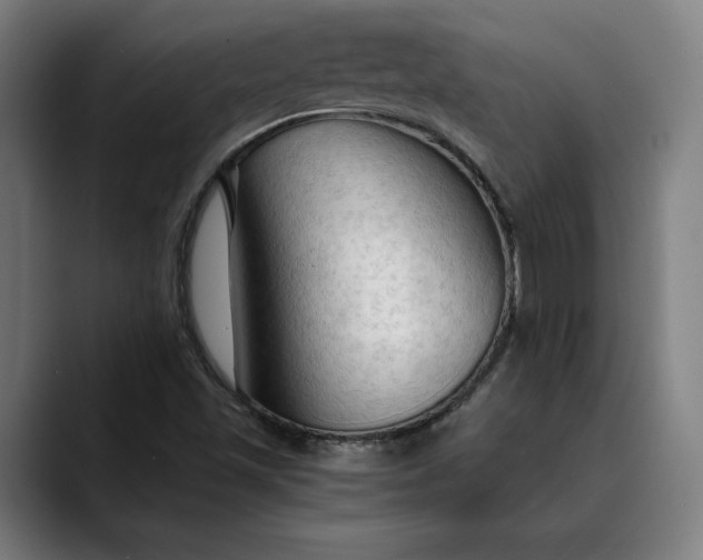 X0000089691501200707121327