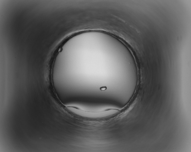 X0000089691502200707121327