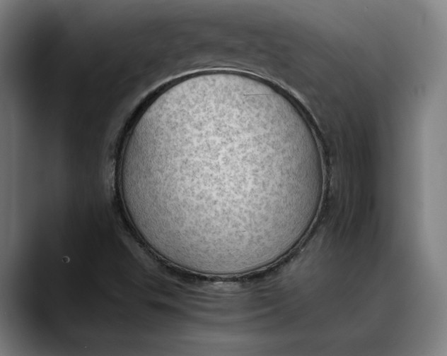 X0000089691503200707121327