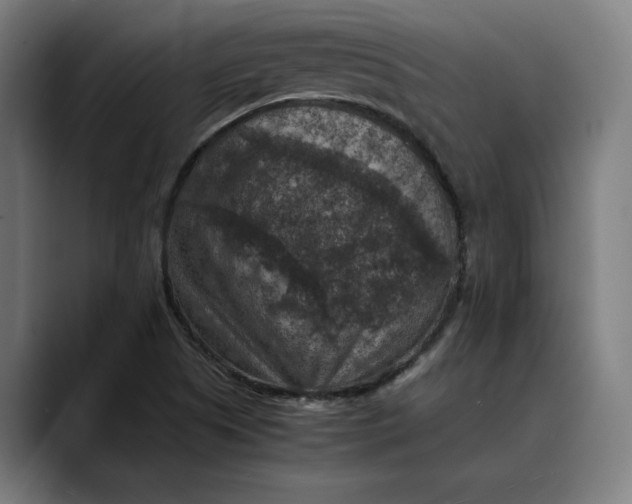 X0000089691505200707121327