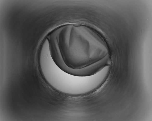 X0000089691506200707121327