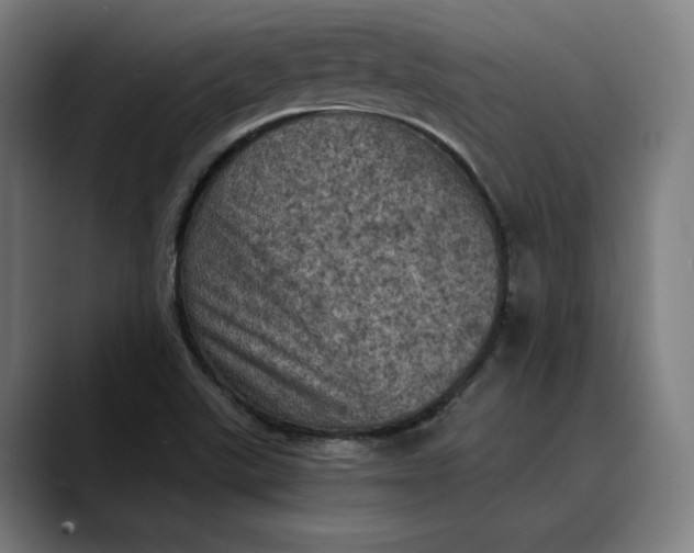 X0000089691507200707121327