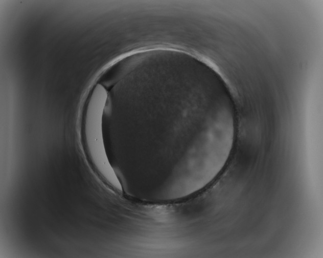 X0000089691508200707121327