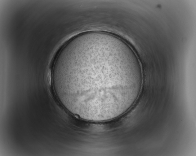 X0000089691509200707121327