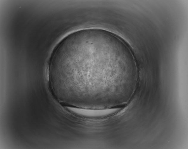 X0000089691510200707121327