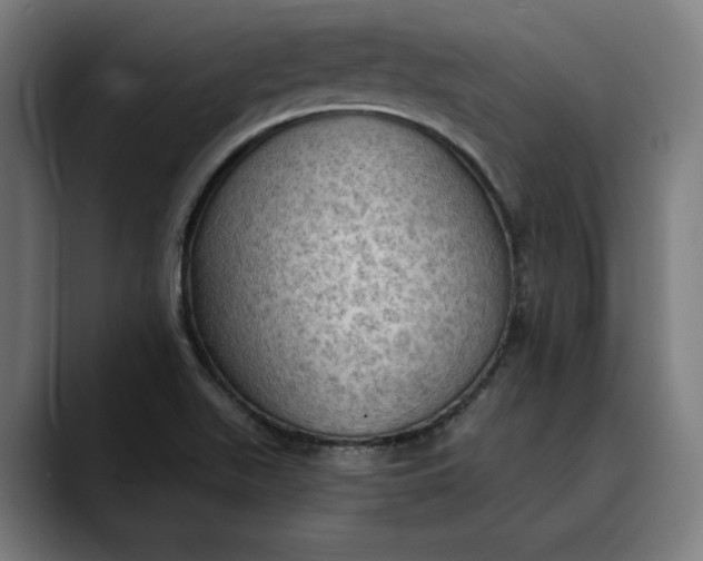 X0000089691511200707121327