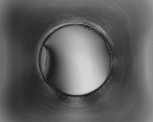 X0000089691512200707121327