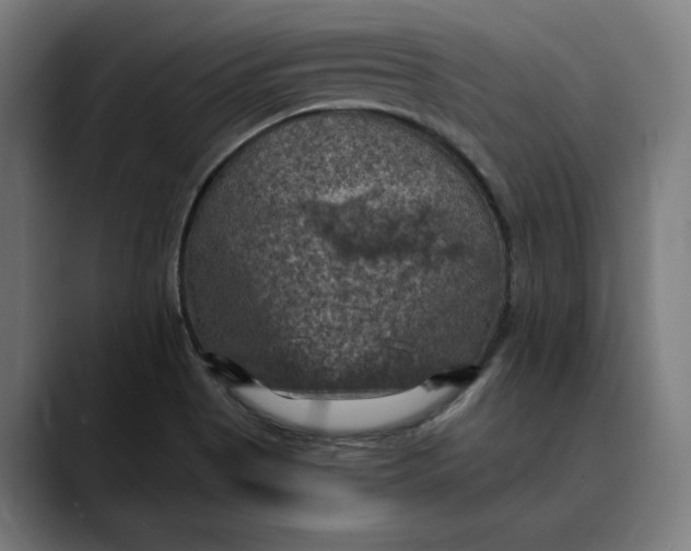 X0000089691513200707121327