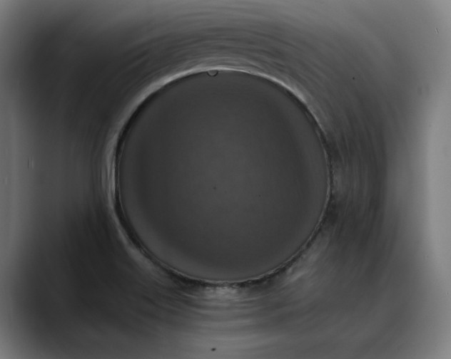 X0000089691515200707121327