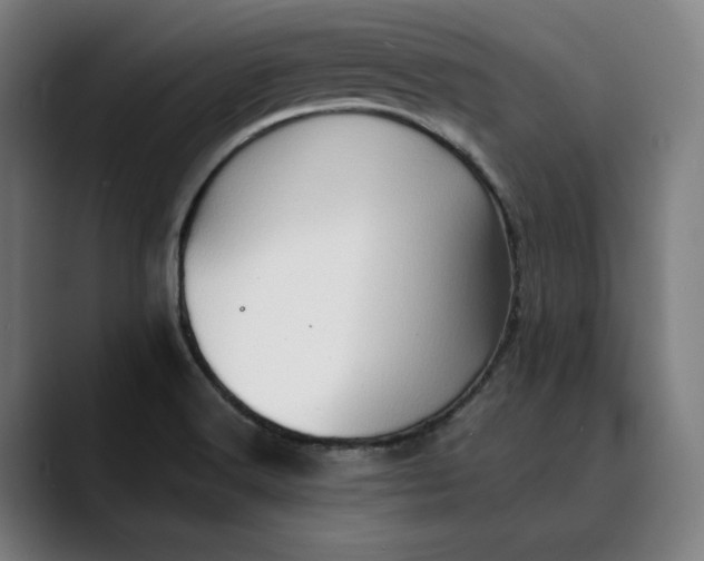 X0000089691516200707121327