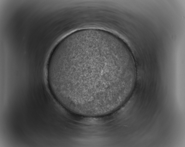 X0000089691517200707121327