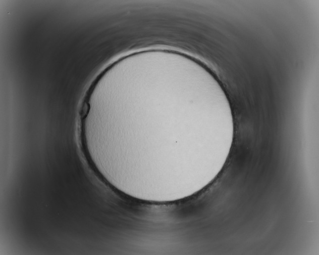 X0000089691518200707121327