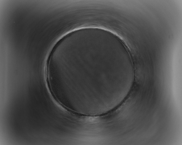 X0000089691519200707121327