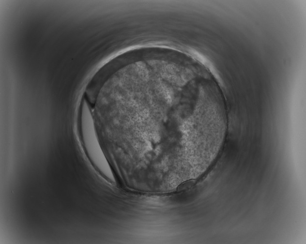 X0000089691520200707121327