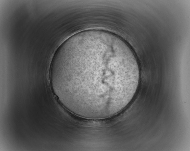 X0000089691521200707121327