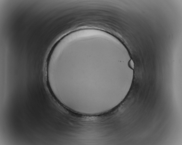 X0000089691522200707121327