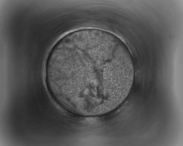 X0000089691523200707121327