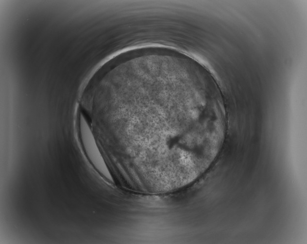 X0000089691524200707121327