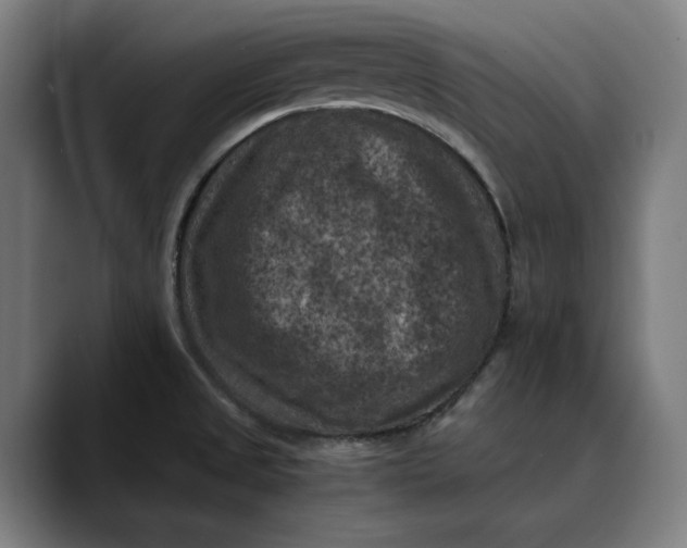 X0000089691525200707121327