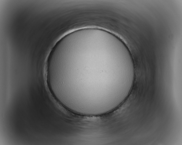 X0000089691526200707121327