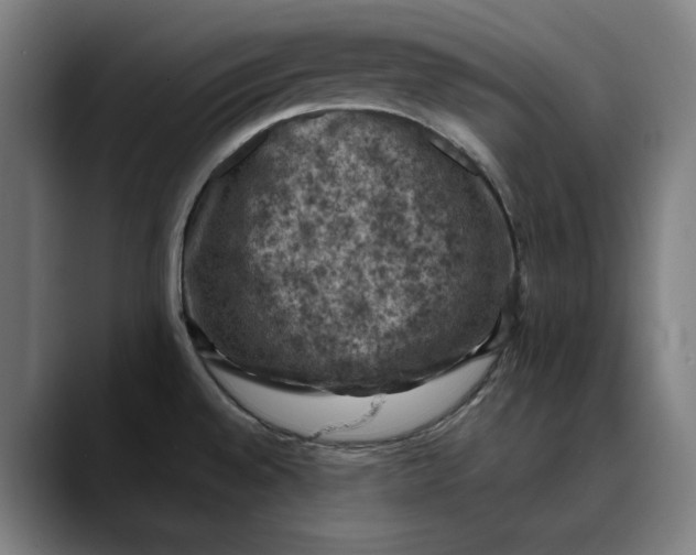 X0000089691528200707121327