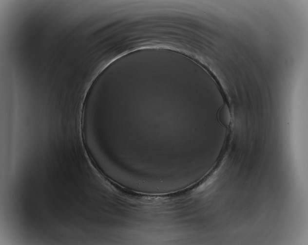 X0000089691529200707121327