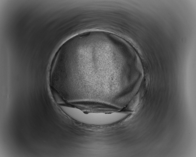 X0000089691530200707121327