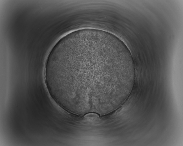 X0000089691531200707121327