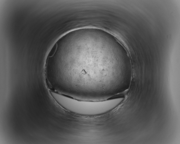 X0000089691532200707121327