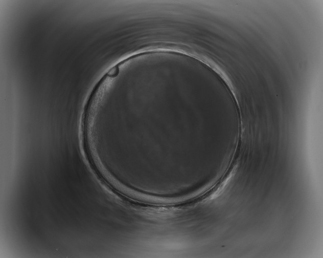 X0000089691533200707121327