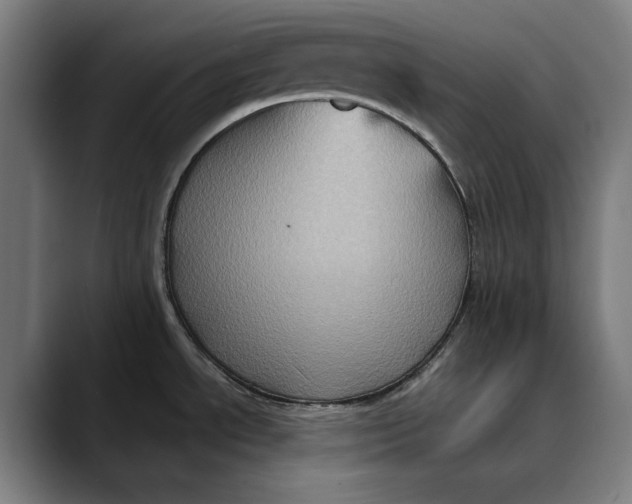 X0000089691534200707121327