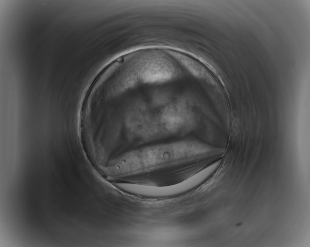 X0000089691535200707121327