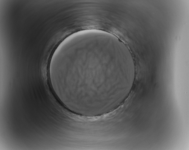 X0000089690002200707201729