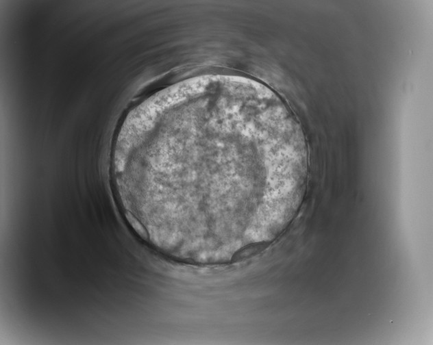 X0000089690003200707201729
