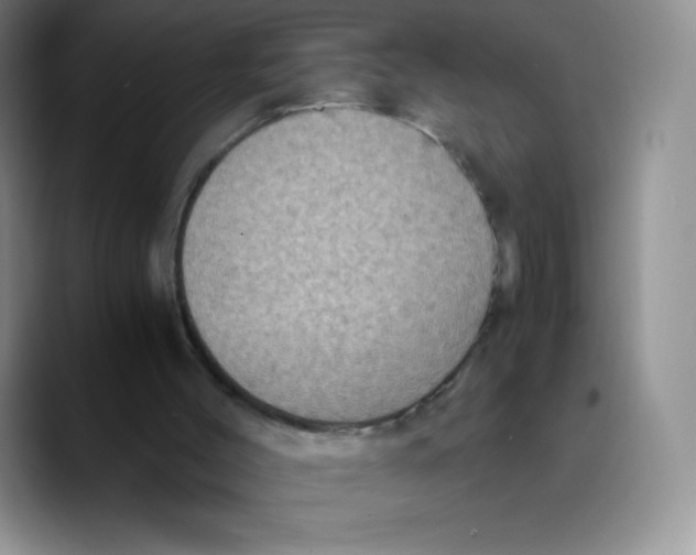 X0000089690004200707201729