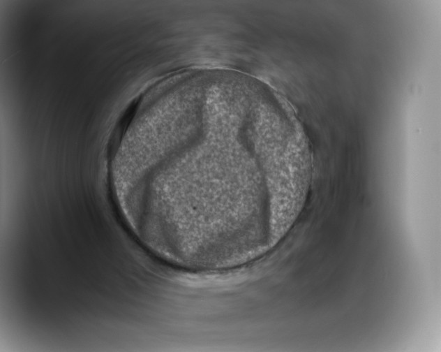 X0000089690005200707201729