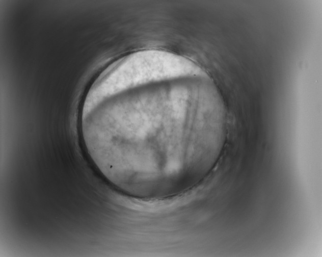 X0000089690006200707201729