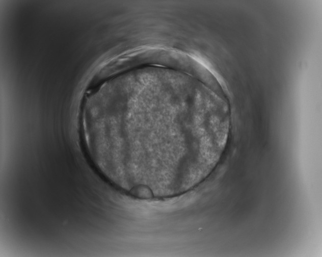 X0000089690007200707201729