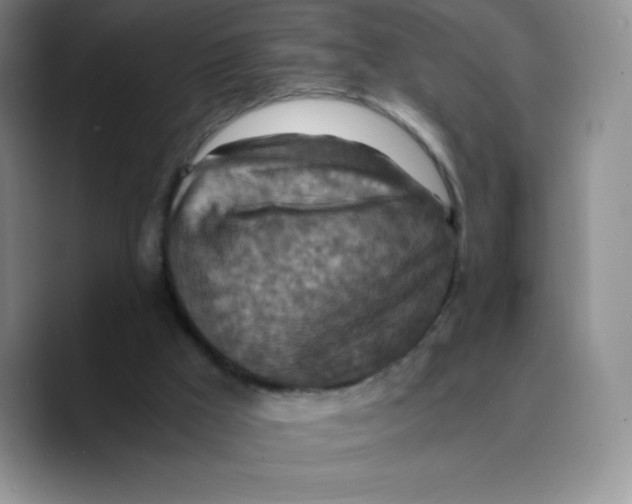 X0000089690009200707201729