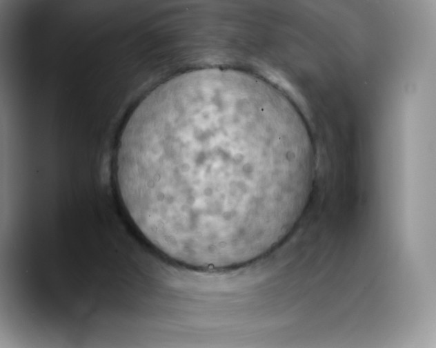 X0000089690010200707201729