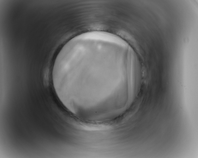 X0000089690012200707201729